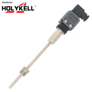 Holykell RTD Pt100 온도 센서 프로브 케이블 3 전선 1/2 NPT 750F 온도 제어