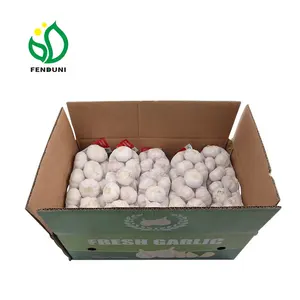 Size 5-6cm fresh pure white garlic packed with garlic box 10kg