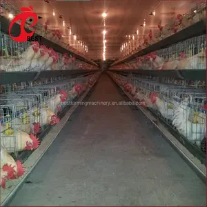 high quality low price poultry battery cages for layers for farms in ghana