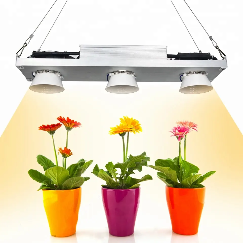 Dimmerabile CREEs CXB3590 300W COB LED Grow Light spettro completo Vero29 Citizen LED Growing Lamp Indoor Plant Growth Lighting