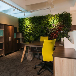 De plástico de jardineras verticales <span class=keywords><strong>pared</strong></span> verde jardín - Product Image 3