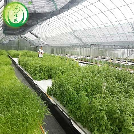 Aquaponic сельское хозяйство теплица nft водосточная система