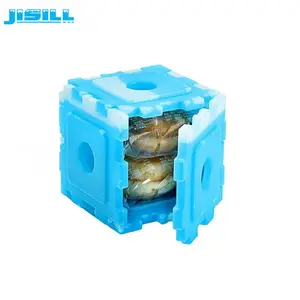 Customized cold cooling gel lunch box ice pack for frozen food storage and transport