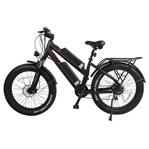 Fat Tire Dubbele Batterij Legering Voorvork Elektrische Fiets Elektrische Sneeuw Bike