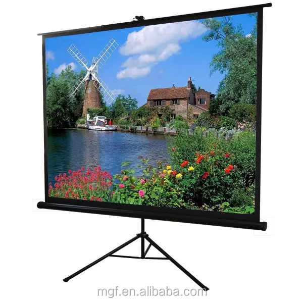 Регулируемый наружный экран для проектора, 120 дюйма, матовый, белый