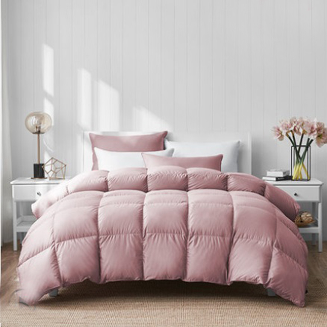Chocolat