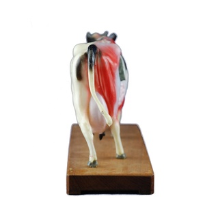 Yüksek Kaliteli Sığır Akupunktur Modeli gelişmiş plastik tıbbi hayvan vücudu akupunktur modeli Inek Sığır Akupunktur Modeli - Product Image 3