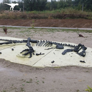 Dinozor müzesi alışveriş merkezi mobil sergi sergiler dinozor fosili ve İskelet kopyaları
