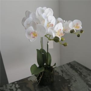Orquídea <span class=keywords><strong>Phalaenopsis</strong></span> Artificial Súper Grande con Excelente <span class=keywords><strong>Precio</strong></span>, Orquídeas Artificiales - Product Image 2