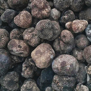 Detan Đông Lạnh Shanghai Đen Truffle Nấm - Product Image 1