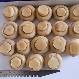 Tươi Và Bảo Quản Toàn Bộ <span class=keywords><strong>Slice</strong></span> Ăn Mô Hình Đóng Hộp Nút <span class=keywords><strong>Champignon</strong></span> Nấm Rau Với Halal Kosher Brc Giấy Chứng Nhận - Product Image 4