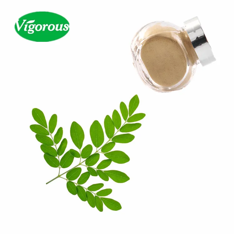 100% Natural Neem Leaf Extract Powder