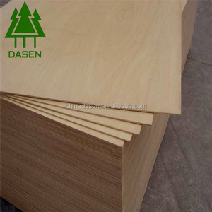 זול בתפזורת דיקט ליבנה - Product Image 2