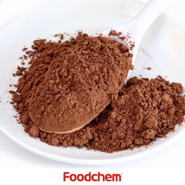 Bulk High Quality Alkalized Natural 10-12% Cocoa Powder From China