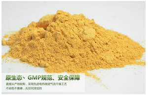 ロングゼコーダイセプスエキス粉末キノコシリーズ植物エキス - Product Image 3