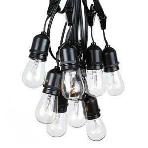 48 pies 15 bombillas luces de navidad para calles	cadena radial de luz con bombilla bajo consumo crecimiento para sala - Product Image 1