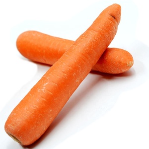 Çin sarı havuç tedarikçisi/taze havuç sulu ile ve tatlı tadı/taze havuç - Product Image 1