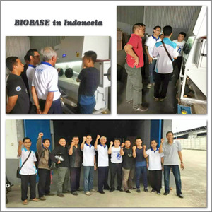Four de séchage à <span class=keywords><strong>air</strong></span> forcé Biobas avec <span class=keywords><strong>chambre</strong></span> intérieure en acier inoxydable Bov-v70f Four Protection de température indépendante en option - Product Image 5