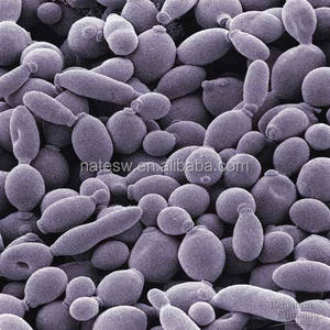 Selen Làm Giàu men 2000 mcg Selen hữu cơ cho cấp thực phẩm - Product Image 3