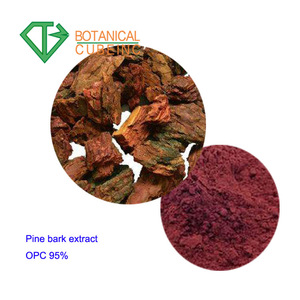 Écorce de <span class=keywords><strong>pin</strong></span> naturelle botanique en vrac, proanthocyanidines 95% OPC, extrait de poudre d'écorce de <span class=keywords><strong>pin</strong></span> français - Product Image 2