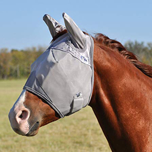 Botas de Neopreno para Caballos Equipo de Equitación - Product Image 4