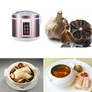 新的易于操作的家庭使用黑色大蒜发酵器制作黑色大蒜 - Product Image 5