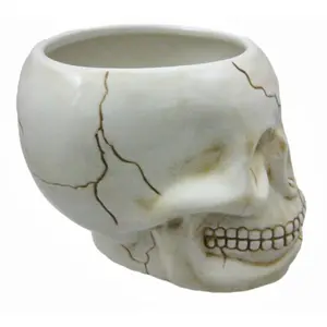 Gốm Halloween Loạt Hộp Sọ Hình Dạng Kẹo Jar