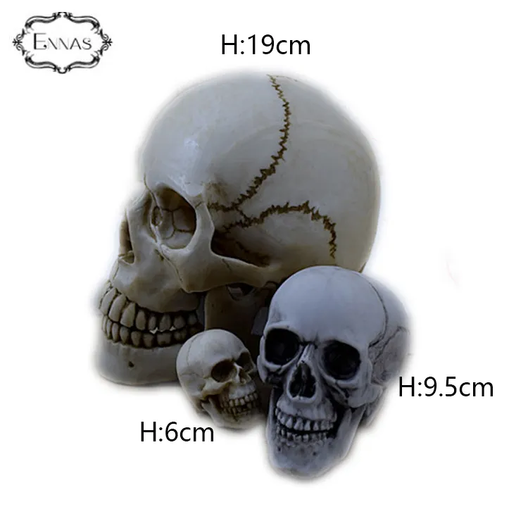 Small Human Resin Skull Heads Model für Party