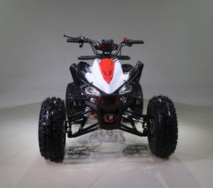 Tao Motor Eagle 125 entraînement par chaîne automatique quatre roues moto pour enfants de 11 ans 125cc 36V démarrage électrique Atv 125cc 110cc - Product Image 4