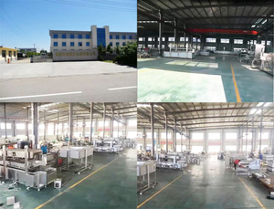 GT-LM01-Máquina automática multifuncional para hacer pan, con tacos suaves, para alimentos - Product Image 5