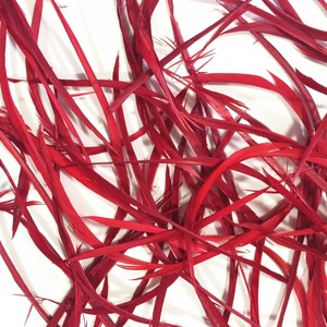 Vente en gros plumes d'oie rayées <span class=keywords><strong>Biot</strong></span> à <span class=keywords><strong>vendre</strong></span> pas cher - Product Image 4