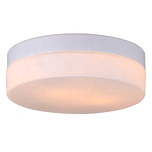 Đèn Trần Hiện Đại Chiếu Sáng Trong Nhà Khách Sạn Tuôn Ra Gắn Đèn Led Trần Trắng Kính Bóng Râm Đèn Trần - Product Image 1