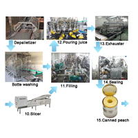 Lwt Fabriek Directe Ananas Voedsel Blikken Machine Multifunctionele Productielijn Motor Met Fruit Groente Verwerking