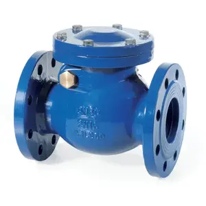 DN50-DN300 DIN 3202 F6 pn16 Ductile Iron water swing check valve for sea water