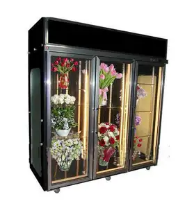 Neues Produkt Blumen kühlschrank Vitrine Blumen kühlschrank für Blumenladen