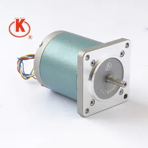 230V 50Hz 55 Mét AC Mini Motor Động Cơ Đồng Bộ