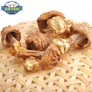 Detan secas <span class=keywords><strong>Agaricus</strong></span> blazei/Nombres de setas - Product Image 1