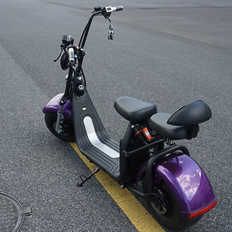 Emak/Coc/Eeg Goed Ontwerp Lithium Batterij Elektrische Citycoco Scooter 2000W Usa Motorfiets Scooter Elektrische