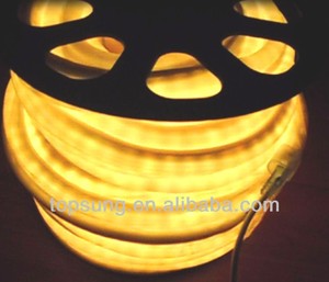 110v 5050 smd rgb pleine couleur chaning led neon flex corde - Product Image 5