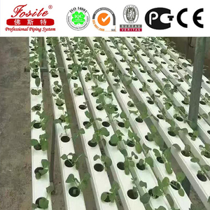 La culture hydroponique usine de pvc tuyaux pour <span class=keywords><strong>l</strong></span>'agriculture - Product Image 6