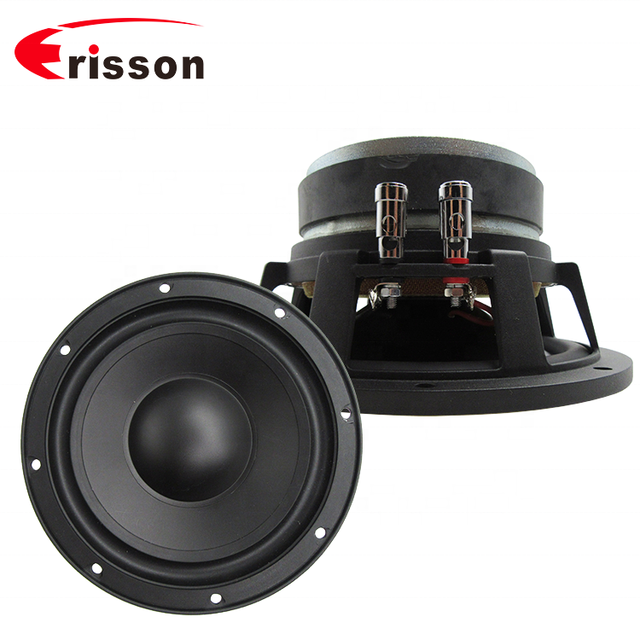 OEM Manufacturer's High Performance 8 Inch 500W Car Audio Subwoofer Durable Iron Woofer & Speaker From Durable Iron Material