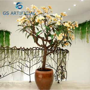 Fleur de plumeau <span class=keywords><strong>artificiel</strong></span>, 1 pièce, plante <span class=keywords><strong>frangipanier</strong></span> - Product Image 5