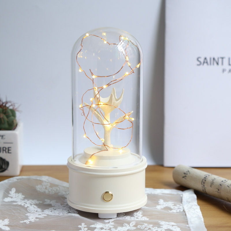 Dôme en verre avec la base blanche pour la rose