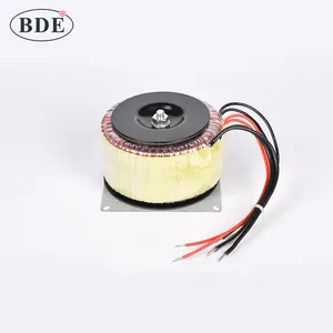 Hot sale 300VA/100VA power transformer toroidal transformer