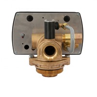 Fobrite F21-FTC Filtre À Sable Vanne Automatique