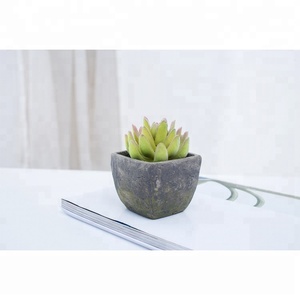 Bf Bán Buôn Tùy Chỉnh Trang Trí Nhỏ Mini Trong Chậu Giả Mọng Nước Nhân Tạo Thực vật Nhân Tạo Thực vật - Product Image 3