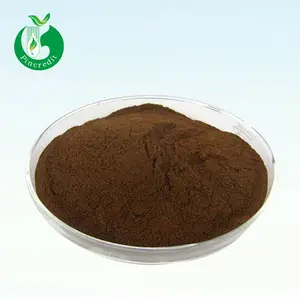 Top Grade Black Garlic Extract/Garlic Powder/Black Garlic Extract Powder