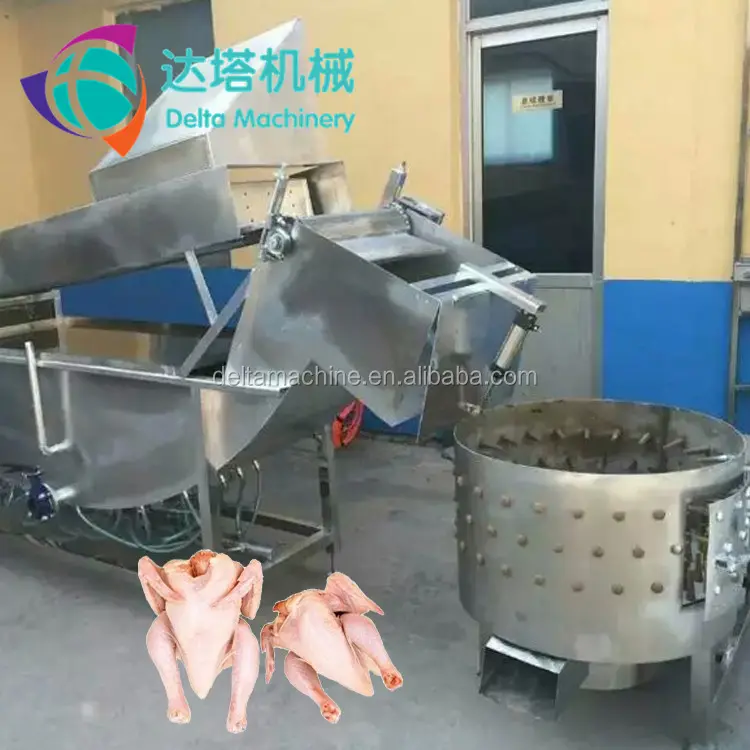 Approvisionnement d'usine de poulet plume éplucheuse machine pour enlever les plumes de volaille