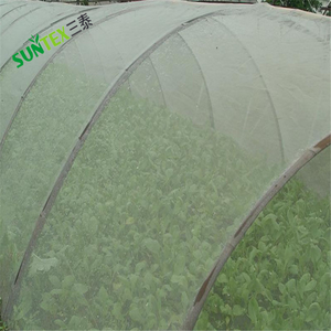 Uçan böceklere karşı 50mesh HDPE tarım koruma, plastik UV sebze bitkileri Anti böcek netleştirme Bug <span class=keywords><strong>Net</strong></span> 4M X 30M - Product Image 3