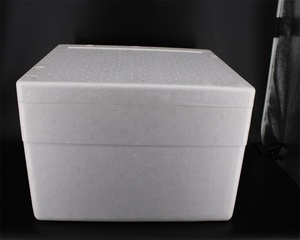 Thân Thiện Với Môi Trường Cách Điện Vận Chuyển Eps Cách Nhiệt Bọt Mát Hộp - Product Image 1